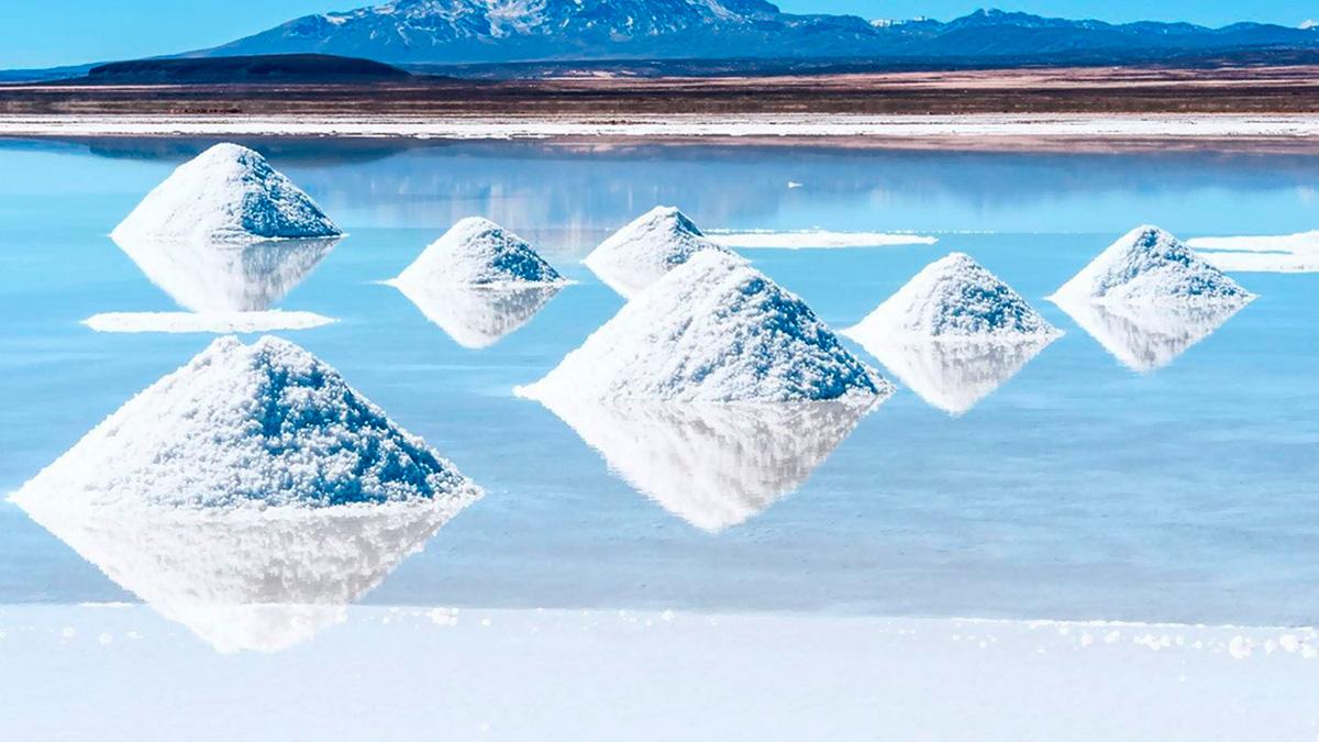 Overview of the Lithium Industry in 2024: Global Insights and Industry Examples